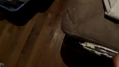 Baby King online show from February 14, 3:33 am