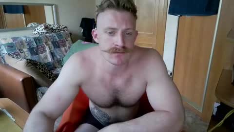 WhiteBull online show from June 6, 3:40 pm