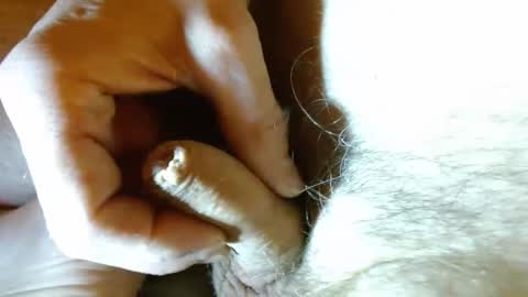 wildwills online show from April 27, 11:46 pm