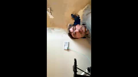 will500will online show from February 11, 11:42 am