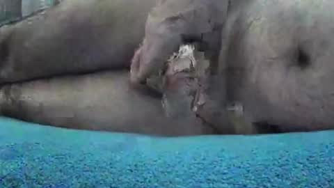 willsex666 online show from March 19, 10:04 pm