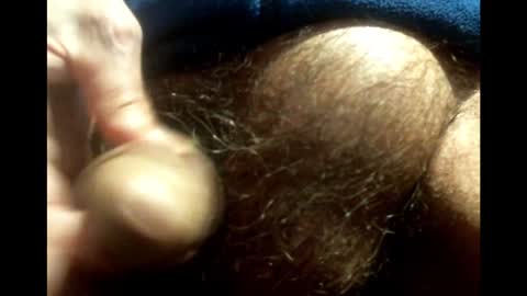 willstrok online show from December 21, 2:14 pm