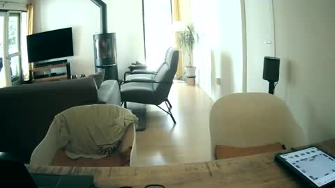 woodwurm and Snoeske online show from May 23, 12:34 pm
