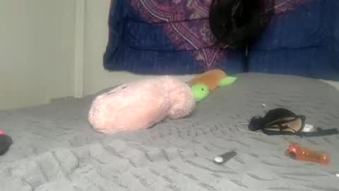 x3queen2 online show from April 14, 6:27 am