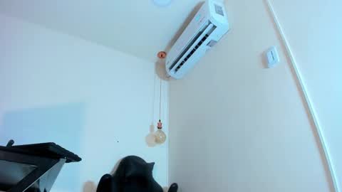 Genesis online show from January 21, 11:55 pm