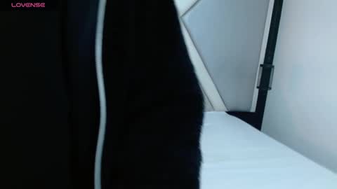 Marco and Veronica online show from March 7, 4:02 am