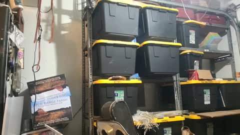 Xploringus online show from October 1, 9:19 am