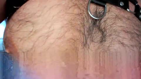 xxxotter online show from May 4, 12:12 pm
