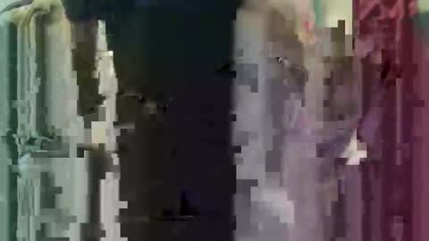 yangolox3 online show from February 24, 3:37 pm