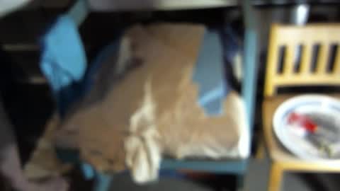 .     y e l l o w s n a k e s       . online show from February 21, 9:12 am