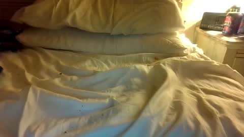 yohanapple online show from March 1, 5:20 am