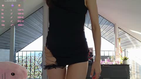  Wilma  online show from January 27, 1:19 pm