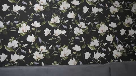 Meri  online show from March 8, 8:14 pm