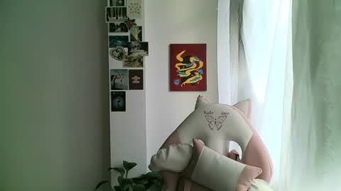 your sttar online show from January 8, 11:54 am