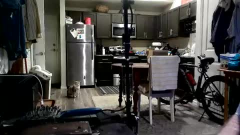 yourbeast247 online show from July 30, 11:55 am