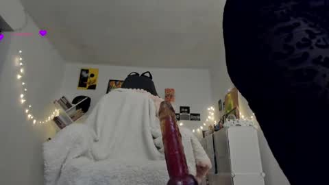 paola online show from March 2, 2:08 am