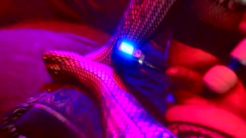 Z0RL0C online show from October 4, 5:38 am