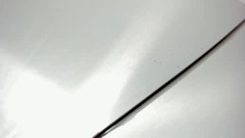 zia online show from February 20, 11:23 am